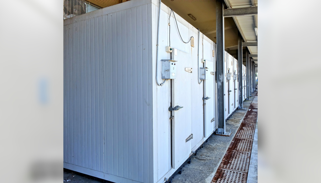 Understanding Cold Storage Prices-technopuff