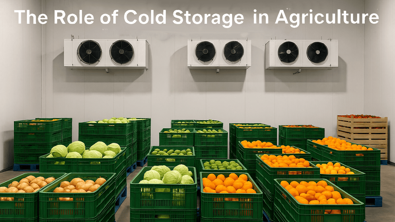 The Role of Cold Storage in Agriculture-New